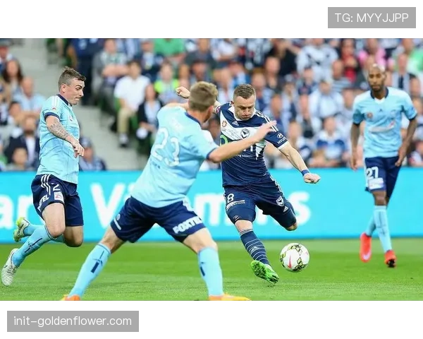 勒沃库森4-0圣保利,波库传射建功展现中场统治力 勒沃库森4-0圣保利,波库传射建功展现中场统治力